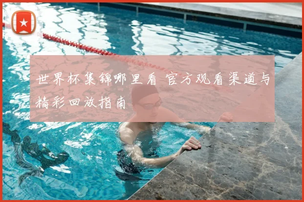 世界杯集锦哪里看 官方观看渠道与精彩回放指南