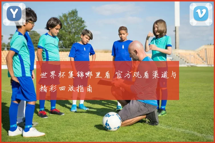 世界杯集锦哪里看 官方观看渠道与精彩回放指南