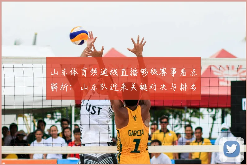 山东体育频道线直播够级赛事看点解析：山东队迎来关键对决与排名影响